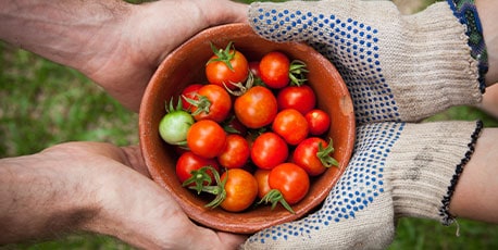 a bowl full of cherry tomatoes